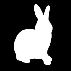 Folge dem weißen Kaninchen, Filmzitate-Quiz FSF-Adventskalender (c) FSF